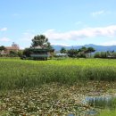 연꽃방죽체육공원 이미지