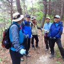 쉼터농장 이미지