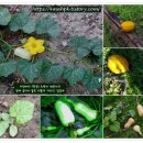 몰골산장 이미지