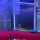 큐노래타운 이미지