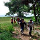 성흥산 솔바람길 이미지