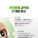 해온동물병원 이미지