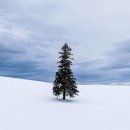 하이웨이네트 이미지