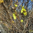 홍천세무서 이미지