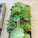 정통쌈밥 이미지