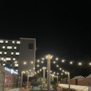 펫츠가든 | [강릉] 양양 더앤리조트 디럭스 패밀리 트윈룸 수영장 스파 내돈내산 후기