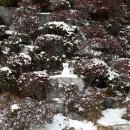 해성레전드, `눈` 오는 날의 정경 이미지