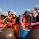 김선규농장 이미지