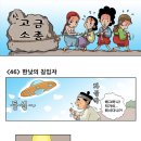 신고금 Daum카페