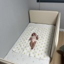 데이지꼼 | 일룸 쿠시노 저상형 침대 견적 및 설치 내돈내산 후기(쿠시노/비비엔다 쿨매트/일룸 매트리스 커버/알로...