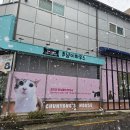 츄냥이 하우스 이미지