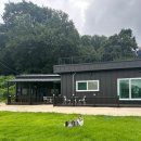 더 레이크 서지 이미지