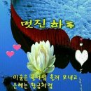 고운아침