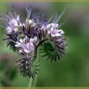 고려카서비스 이미지