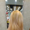 호유 이미지