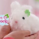 츄츄월드