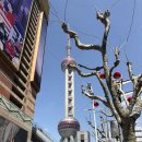 동방목장 | 중국여행 상하이 상해 훠궈 맛집 :: 정대광장 좌정우원 내돈내산 방문 리뷰