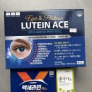 분당비타민약국 | 종합비타민부터 눈영양제까지, 십자약국 쇼핑 후기 (가격 공유)