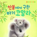 [산불, 재난, 기후그림책] 산불에서 구한 아기 코알라 | 2022년 | 유아, 초등저학년 이미지