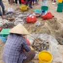 베트남 여행 - 무이네 피싱빌리지 아침 어시장 이미지