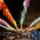 루디네 염소농장 | 태국 치앙마이 여행 마지막날 진저팜 농장체험 사이핑레스토랑 방문