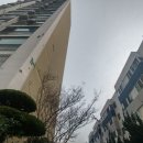 법무법인다율