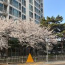 염색스토리