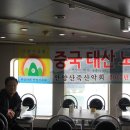 위동 Daum카페