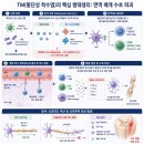 골든아이OPTIC | 🩺 "걷지 못하는 아이, 단순 마비일까?" | 횡단성 척수염(Transverse Myelitis)의 병태생리와 초기 접근법