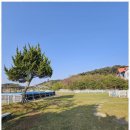 조이펜션 이미지