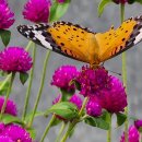 다니엘의료기 이미지