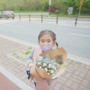 별나무태권도 이미지