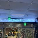 마곡 보타닉파크웨딩 카라홀 하객 후기 주차 동선 뷔페 총정리