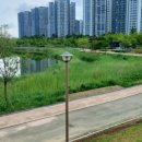 청라호수공원(제2주차장) 이미지