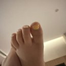 네일.쎄이