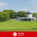 영인일본입시연구소 이미지