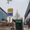 테크노클라이밍짐 | 23) 대전 관평동 클라이밍 일일체험 [테크노클라이밍짐] 후기 + 와플대학 딸기와플