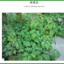 삼대생활건강 이미지