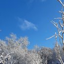 가족캠핑장 이미지