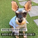 아로마테라피&DIY 이미지