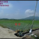 상주시청리면삼괴보건진료소 | 경북 상주시 청리면 토지(답)경매 물건, 경매낙찰가 상담 == 사건번호 [2019타경71252], 경락자금