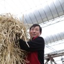 금성목장 이미지