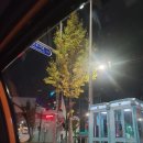 11월 다른듯 같은 일상