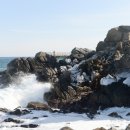 나곡바다낚시공원 이미지