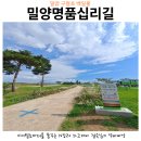 백일홍명품길 이미지