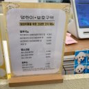 댕린이 보호구역 이미지