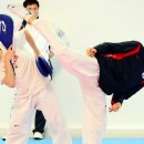 경향태권도 이미지