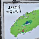 제주흑돼지함덕그때그집 이미지