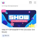 동명밧데리 | 251015 쇼챔피언 방청 후기 (feat. 1위 가수 원위, 1위 가수 팬 위브)