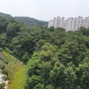 나이스공인중개사사무소 이미지